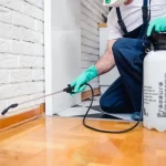 Signs Your Home May Need Pest Control